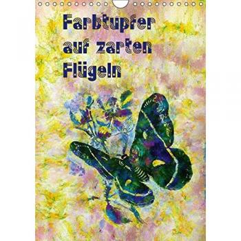 Farbtupfer auf zarten Flügeln