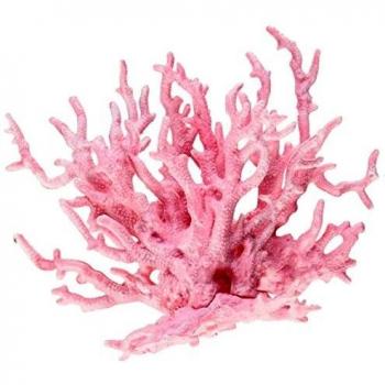 Cerf Corail Rose Blanc pour Aquarium SML