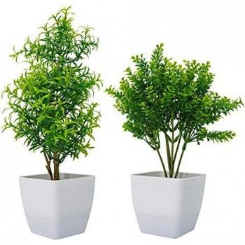 Modern Zen Faux Flora Pack