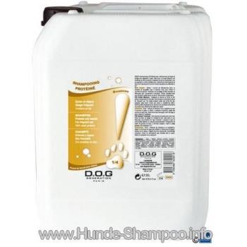 Chadog – Shampoing Protéiné Dog Génération 5L