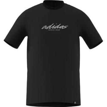 Adidas Color Connect Graphic Tee – Grau/Weiß