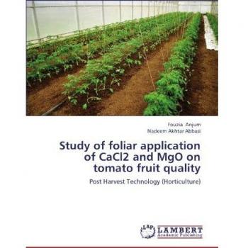 Study of foliar application of CaCl2 and MgO on tomato fruit quality: Post Harvest Technology