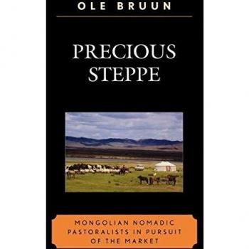 Precious Steppe by Ole Bruun