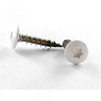 Vis de Fixation Torx T30 7x30 Inox A2 Blanc