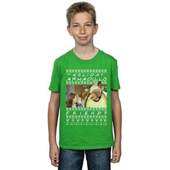 Boy's Fair Isle Holiday Armadillo Tee – Size 9 Years, Green