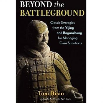 Tom Bisio Beyond the Battleground (Tascabile)