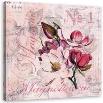 Pink Background Magnolia Canvas 30