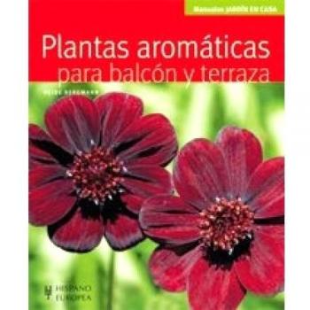 Plantas aromáticas para balcón y terraza