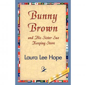 Bunny Brown and His Sister Sue Keeping Store