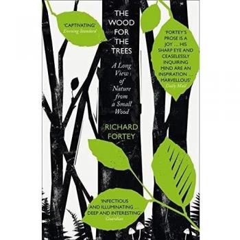 Wood for the Trees: The Long View of Nature from a Small Wood