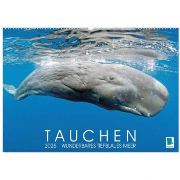 Calvendo, Calvendo: Tauchen: Wunderbares tiefblaues Meer (Wandkalender 2025 DIN A2 quer), CALVENDO Monatskalender