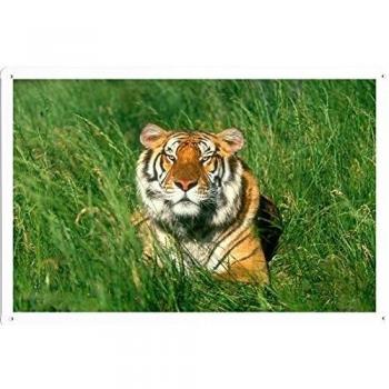 Plato Tigre con Acero
