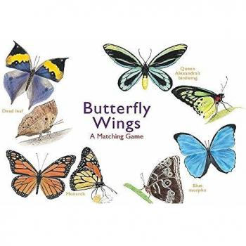 Butterfly Wings: A Matching Game
