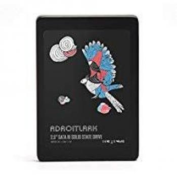 Disque SSD 960 Go pour PC et Ordinateurs Portables