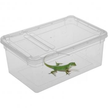 Caisse de culture reptile – Plastique 19×12,5×8 cm, maison d’alimentation multi‑espèces (tarantules, geckos, serpents…)