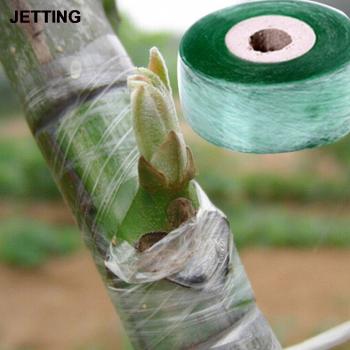 Pruning Stretch Tape for Budding and Grafting