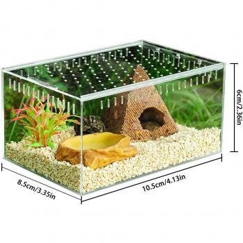Cold Blooded Animals Box