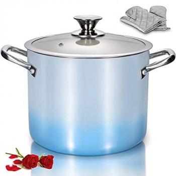 Lovo 6.6 L Kitchen Essentials Stock Pot with Non‑Stick Interior