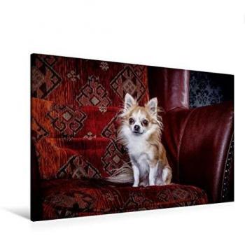 Leinwanddruck „Chihuahuas“ – 120 x 80 cm, Keilrahmen & Vlies