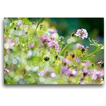 Sommerlicht-Wiese Leinwand 45x30 cm