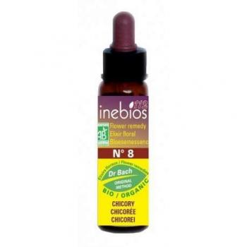 Chicorée Bio Inebios n°8