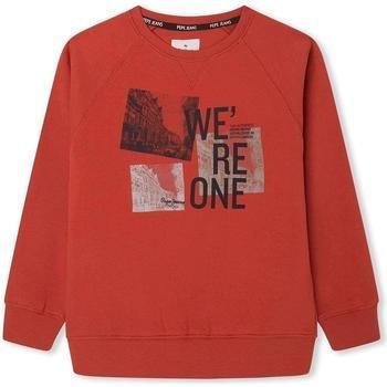 Sudadera de Niños Oso Naranja Fotográfica
