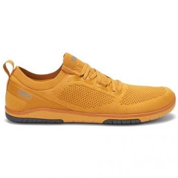 Sneaker Xero Shoes Nexus Knit Oro EU 43