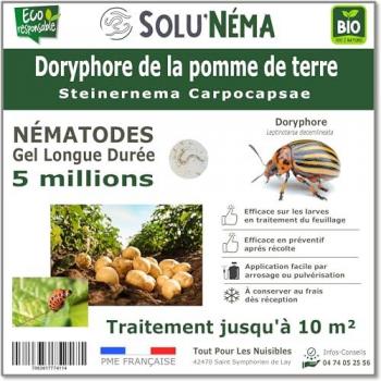 Nématodes de Combat