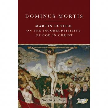 Vitalsource Technologies, Inc. Dominus Mortis