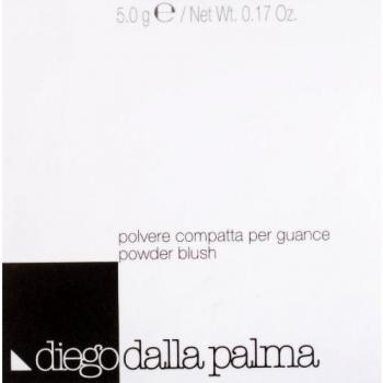 Diego Dalla Palma Rouge Puder 02 Rosette 5g