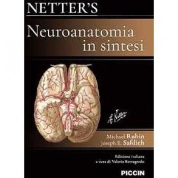 Netter's. Neuroanatomia in sintesi Michael Rubin