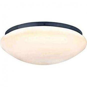 Paulmann 28 cm LED Ceiling Light Warm White