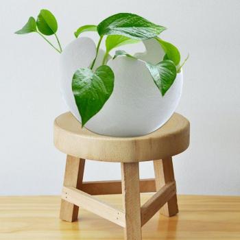 Triangular Shelf Plant Stand