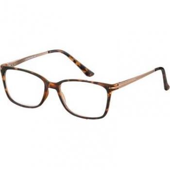 Visión Premium Careys +3,00