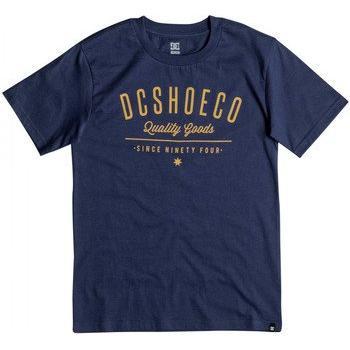 Camiseta Azul DC Shoes Severance para Niño