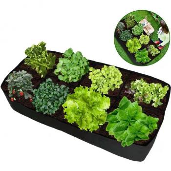 Green Growing Garden Flowerpot