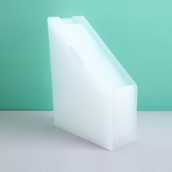 Expandable File Organizer with 13 Slots