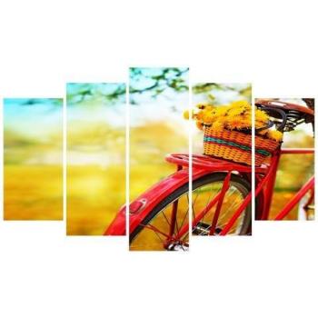 Set di Quadri Bicicletta in Poliestere