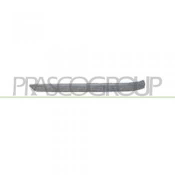 Panel Lateral Protegido BMW Série 3 – PRASCO BM0181244
