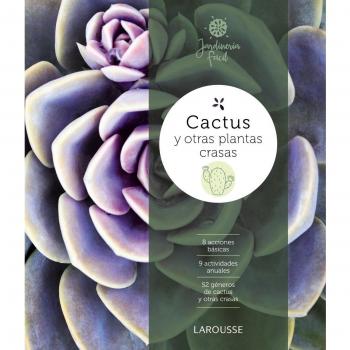 Cactus y otras plantas crasas.