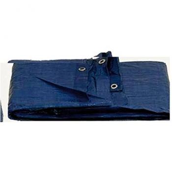 Toldo Polietileno 120gr 6x10m Azul