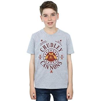Boy’s Chudley Cannons Grey Shirt – 7–8 Year Olds