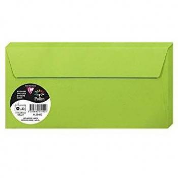 Enveloppes Pollen 110x220 vert menthe (20 unités)