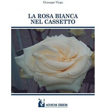 La rosa bianca nel cassetto