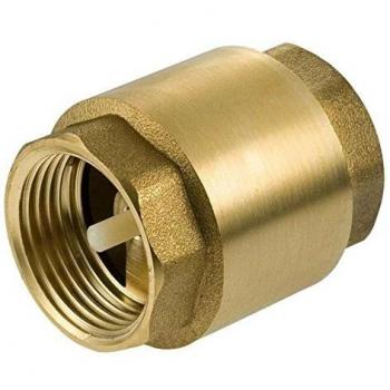 1 BSP Brass Non-Return Valve with Plastic Insert