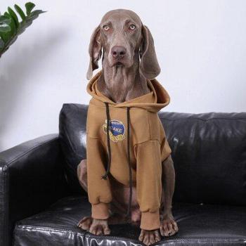 Doberman Cozy Cape