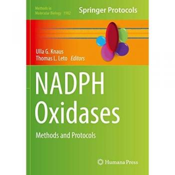 NADPH Oxidases: Methods and Protocols (Methods in Molecular Biology, 1982, Band 1982)