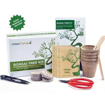 Bonsai-Zuchtset „Kleines Wunder“ – 5 Baumvarianten inklusive Guide