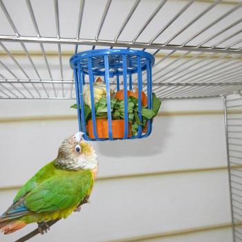5PCS Multi-Purpose Parrot Feeder Basket