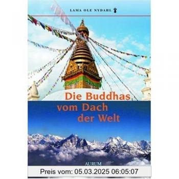 Die Buddhas vom Dach der Welt